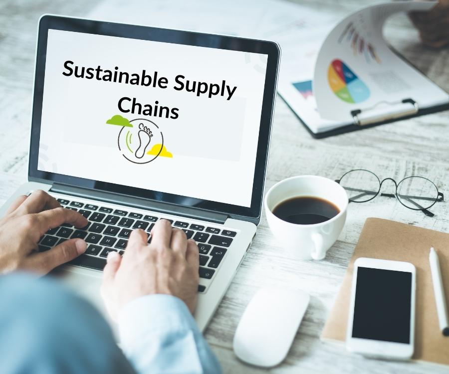 Sustainable Supply Chain - Computer image