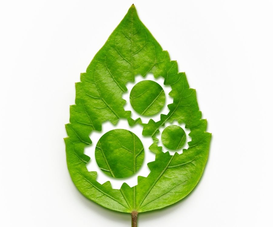 Green Claims Code - leaf
