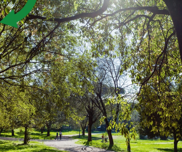 Beyond Net Zero: The Wider Benefits of Local Climate Action